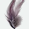Brixton Hat Feather
