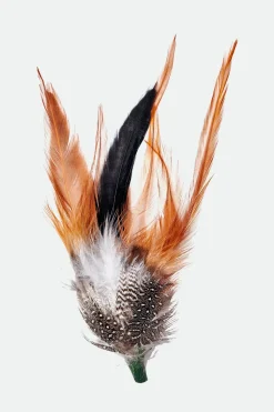 Kevin Hat Feather