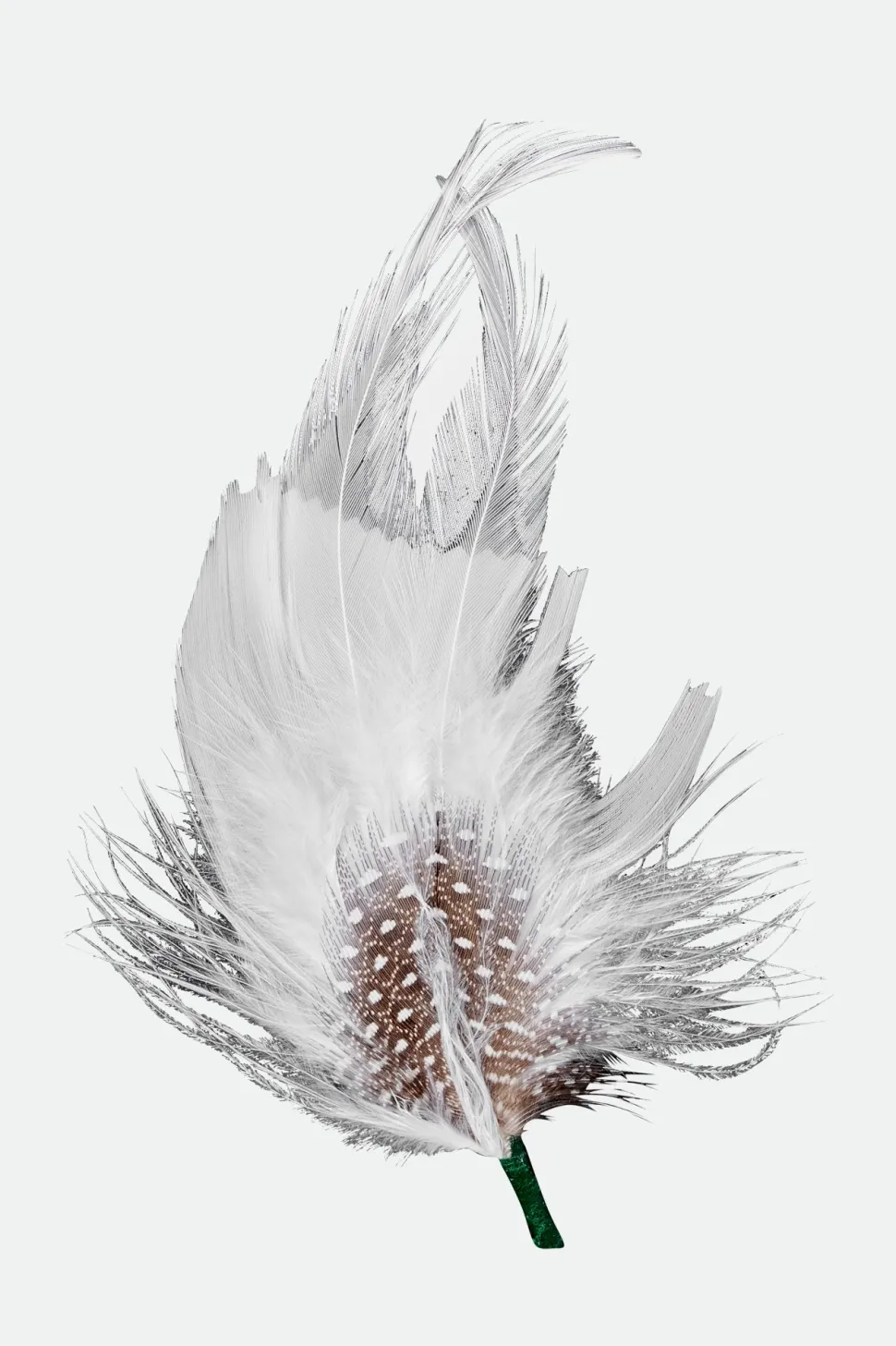Robert Hat Feather